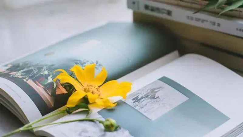 tử vi hôm nay, tử vi 28/8/2022, tử vi ngày 28/8 của 12 con giáp, tử vi ngày mai, 12 con giáp ngày 28/8, tử vi ngày, tử vi đầu số, tử vi 28/8, tử vi 2022, lá số tử vi