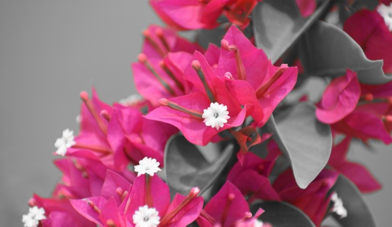 tử vi hôm nay, tử vi 28/8/2022, tử vi ngày 28/8 của 12 con giáp, tử vi ngày mai, 12 con giáp ngày 28/8, tử vi ngày, tử vi đầu số, tử vi 28/8, tử vi 2022, lá số tử vi