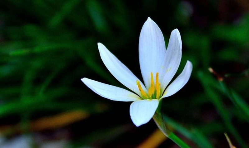 ngày 3 tháng 9 năm 2022, ngày 3/9/2022 tốt hay xấu, xem ngày tốt, lịch âm 2022, lịch vạn niên ngày 3/9/2022, âm lịch hôm nay 3/9, Lịch vạn niên ngày 3 tháng 9