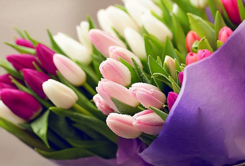 Tử vi hôm nay, Tử vi 9/9/2022, Tử vi ngày 9/9 của 12 con giáp, tử vi ngày mai, 12 con giáp ngày 9/9, tử vi ngày, tử vi đầu số, tử vi 9/9, tử vi 2022, lá số tử vi