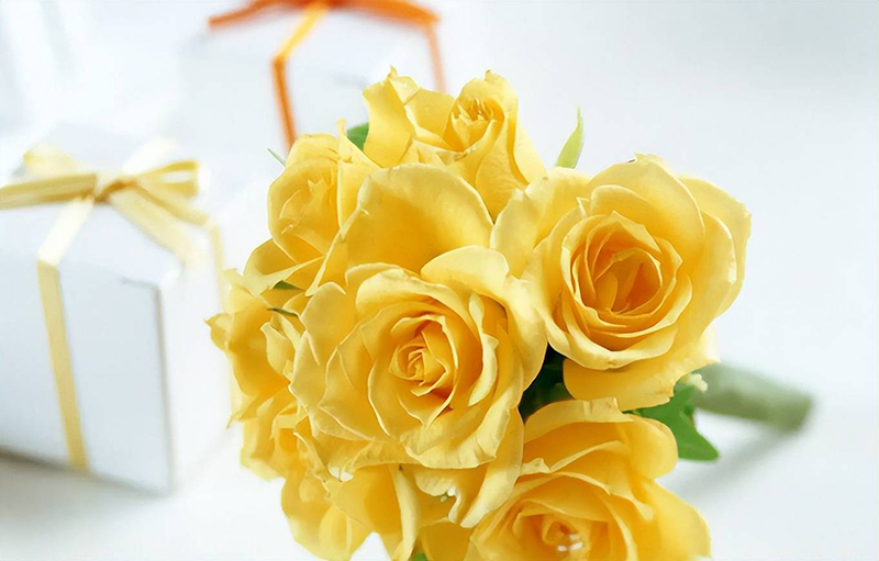 ngày tốt tháng 9/2022, ngày tốt tháng 9, ngày hoàng đạo tháng 9, ngay tot thang 9, Ngày hoàng đạo tháng 9, Ngày tốt tháng 9/2022, Ngày tốt tháng 8 năm Nhâm Dần, ngay tot