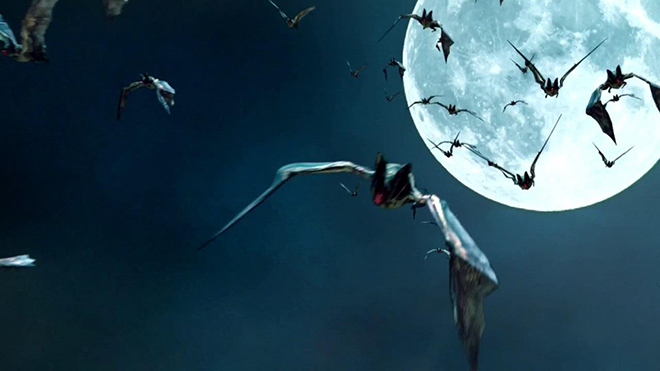 Halloween, Ngày Halloween, Ngày lễ Halloween, Lễ Halloween, lễ hội Halloween, đèn lồng bí ngô, mèo đen, phù thủy, biểu tượng Halloween, Halloween 2020