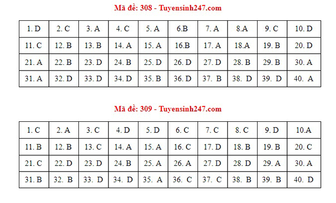 Đáp án Sử, Đáp án môn Sử, Đáp án Sử THPT Quốc gia 2021, Đáp án Sử 2021, Đáp án Sử THPT Quốc gia 2021, Đáp án 24 mã đề môn Sử, Đáp án Sử tất cả mã đề