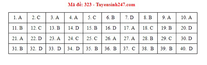 Đáp án Sử, Đáp án môn Sử, Đáp án Sử THPT Quốc gia 2021, Đáp án Sử 2021, Đáp án Sử THPT Quốc gia 2021, Đáp án 24 mã đề môn Sử, Đáp án Sử tất cả mã đề