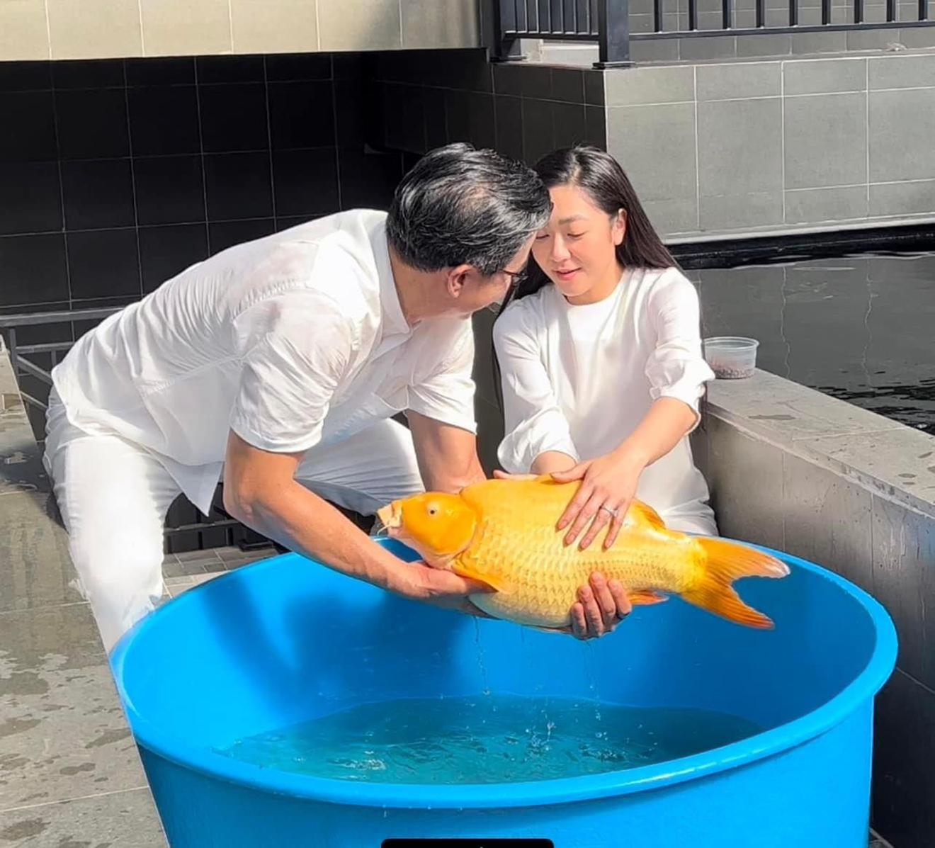Hà Thanh Xuân, vua cá koi Việt Nam, vua cá koi Việt Nam Thắng Ngô, Thắng Ngô, ca sĩ Hà Thanh Xuân, Hà Thanh Xuân và Thắng Ngô, vua cá koi, đám cưới hà thanh xuân