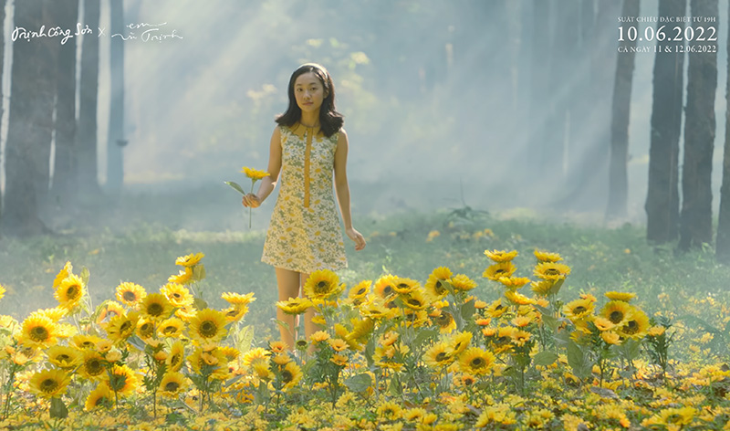Em và Trịnh, Em và Trịnh doanh thu, Em và Trịnh lịch chiếu, Trịnh Công Sơn, Phim Em và Trịnh, doanh thu phim Em và Trịnh, trinh cong son rut khoi rap, trinh cong son
