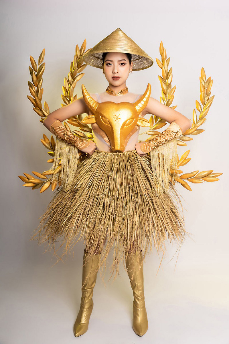 Hoa hậu nhí, Hoa hậu thiếu niên, Hoa hậu thiếu niên Việt Nam chưa được cấp phép, Hoa hậu thiếu niên Việt Nam, Hoa hậu nhí Liên hợp quốc, miss teen