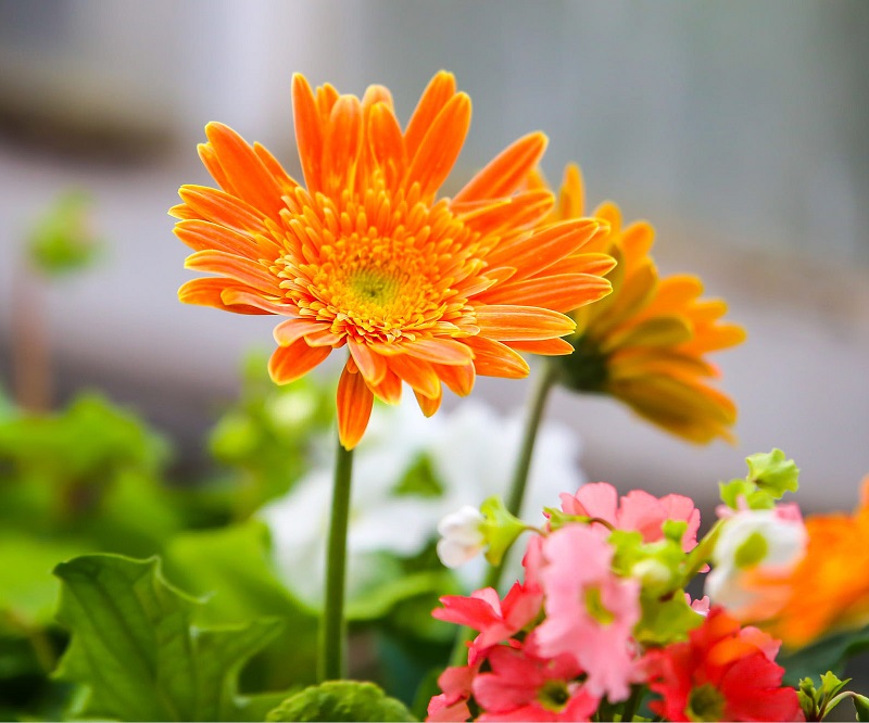 ngày 1 tháng 8 năm 2022, ngày 1/8/2022 tốt hay xấu, lịch âm 1/8, lịch âm 2022, lịch vạn niên ngày 1/8, âm lịch hôm nay 1/8, Lịch vạn niên ngày 1 tháng 8, lịch âm dương