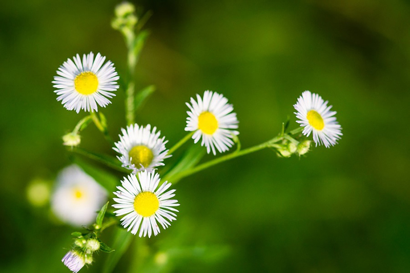 ngày 2 tháng 8 năm 2022, ngày 2/8/2022 tốt hay xấu, lịch âm 2022, lịch vạn niên ngày 2/8/2022, âm lịch hôm nay 2/8, Lịch vạn niên ngày 2 tháng 8, 2/8 ngày tốt, ngày 2/8