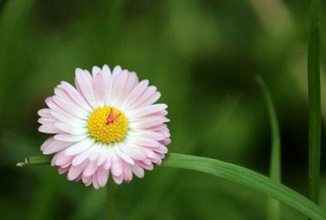 Dự đoán 12 con giáp tháng 8, 12 con giáp tháng 8, tử vi 12 con giáp, tử vi ngày, Tử vi tháng 8 2022, tử vi 12 con giáp, tử vi vui, tử vi ngày mai, tử vi hôm nay