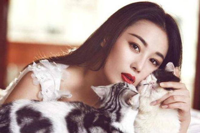 Dự đoán 12 con giáp tháng 8, 12 con giáp tháng 8, tử vi 12 con giáp, tử vi ngày, Tử vi tháng 8 2022, tử vi 12 con giáp, tử vi vui, tử vi ngày mai, tử vi hôm nay