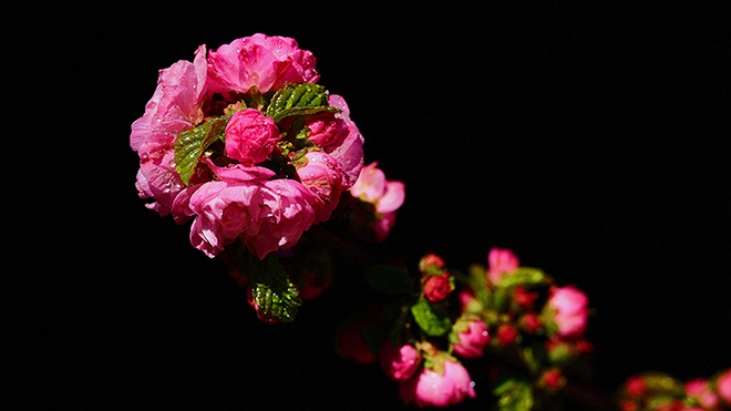 tử vi hôm nay, tử vi 14/8/2022, tử vi ngày 14/8 của 12 con giáp, tử vi ngày, tử vi đầu số, tử vi 14/8, tử vi 2022, lá số tử vi, tử vi ngày mai, 12 con giáp ngày 14/8