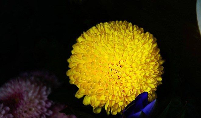 tử vi hôm nay, tử vi 16/8/2022, tử vi ngày 16/8 của 12 con giáp, tử vi ngày mai, tử vi ngày, tử vi đầu số, tử vi 16/8, tử vi 2022, lá số tử vi, 12 con giáp ngày 16/8