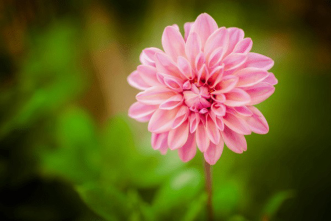 tử vi hôm nay, tử vi 17/8/2022, tử vi ngày 17/8 của 12 con giáp, tử vi ngày, tử vi đầu số, tử vi 17/8, tử vi 2022, lá số tử vi, tử vi ngày mai, 12 con giáp ngày 17/8