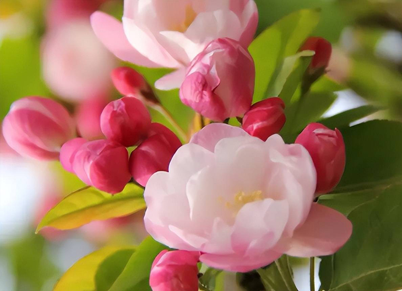 tử vi hôm nay, tử vi 24/8/2022, tử vi ngày 24/8 của 12 con giáp, tử vi ngày mai, 12 con giáp ngày 24/8, tử vi ngày, tử vi đầu số, tử vi 24/8, tử vi 2022, lá số tử vi