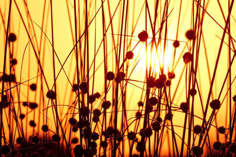 Tử vi hôm nay, Tử vi 1/9/2022, Tử vi ngày 1/9 của 12 con giáp, tử vi ngày mai, 12 con giáp ngày 1/9, tử vi ngày, tử vi đầu số, tử vi 1/9, tử vi 2022, lá số tử vi