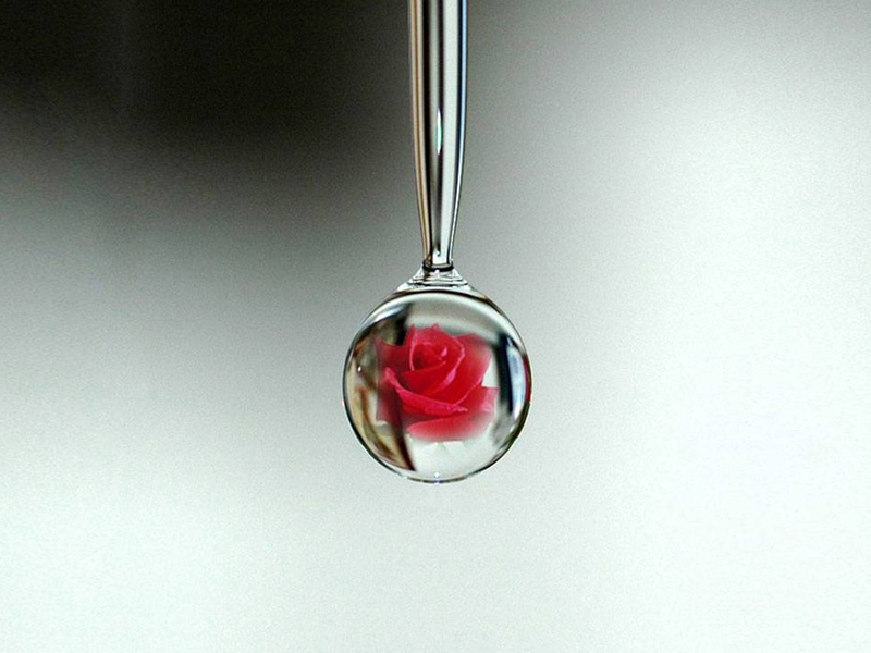 tử vi hôm nay, tử vi 12/8/2022, tử vi ngày 12/8 của 12 con giáp, tử vi ngày, tử vi đầu số, tử vi 12/8, tử vi 2022, lá số tử vi, tử vi ngày mai, 12 con giáp ngày 12/8