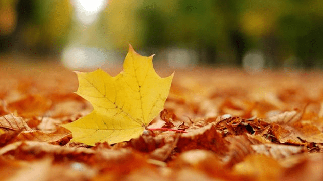 tử vi hôm nay, tử vi 19/8/2022, tử vi ngày 19/8 của 12 con giáp, tử vi ngày, tử vi đầu số, tử vi 19/8, tử vi 2022, lá số tử vi, tử vi ngày mai, 12 con giáp ngày 19/8