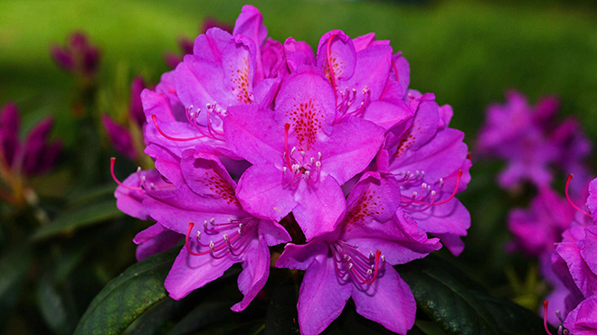 tử vi hôm nay, tử vi 19/8/2022, tử vi ngày 19/8 của 12 con giáp, tử vi ngày, tử vi đầu số, tử vi 19/8, tử vi 2022, lá số tử vi, tử vi ngày mai, 12 con giáp ngày 19/8