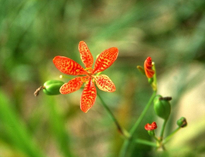 tử vi hôm nay, tử vi 20/8/2022, tử vi ngày 20/8 của 12 con giáp, tử vi ngày, tử vi đầu số, tử vi 20/8, tử vi 2022, lá số tử vi, tử vi ngày mai, 12 con giáp ngày 20/8