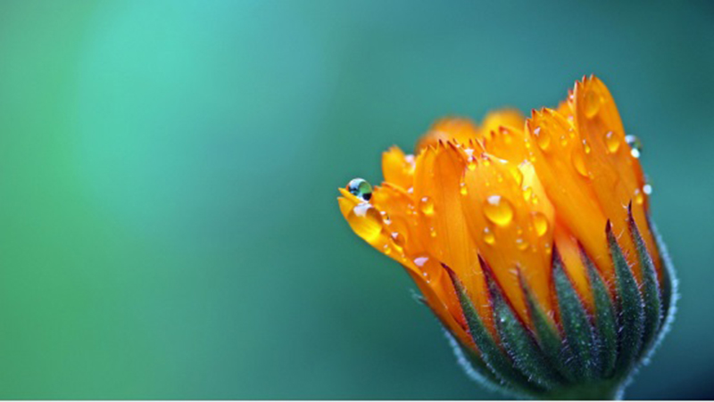 tử vi hôm nay, tử vi 23/8/2022, tử vi ngày 23/8 của 12 con giáp, tử vi ngày mai, 12 con giáp ngày 23/8, tử vi ngày, tử vi đầu số, tử vi 23/8, tử vi 2022, lá số tử vi