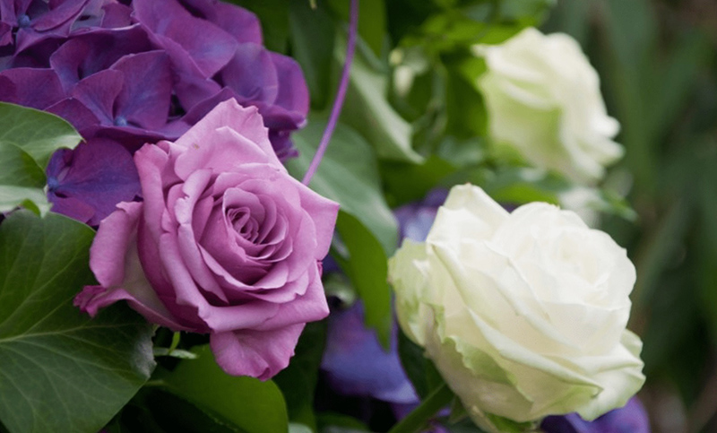 tử vi hôm nay, tử vi 27/8/2022, tử vi ngày 27/8 của 12 con giáp, tử vi ngày mai, 12 con giáp ngày 27/8, tử vi ngày, tử vi đầu số, tử vi 27/8, tử vi 2022, lá số tử vi