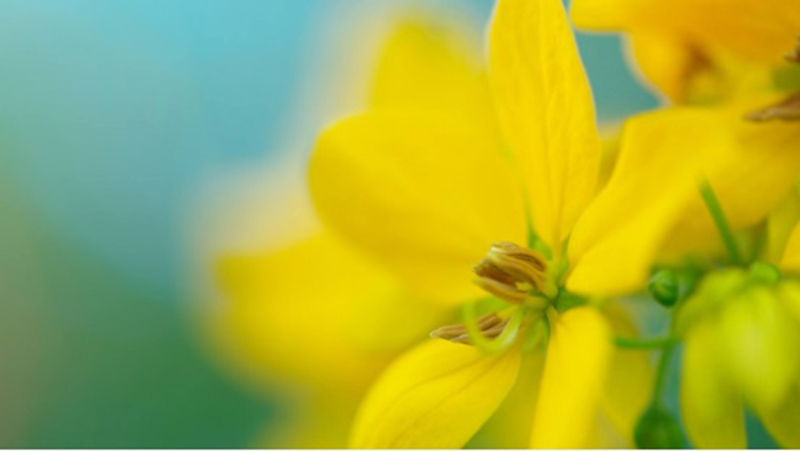 tử vi hôm nay, tử vi 27/8/2022, tử vi ngày 27/8 của 12 con giáp, tử vi ngày mai, 12 con giáp ngày 27/8, tử vi ngày, tử vi đầu số, tử vi 27/8, tử vi 2022, lá số tử vi