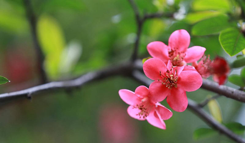 tử vi hôm nay, tử vi 28/8/2022, tử vi ngày 28/8 của 12 con giáp, tử vi ngày mai, 12 con giáp ngày 28/8, tử vi ngày, tử vi đầu số, tử vi 28/8, tử vi 2022, lá số tử vi