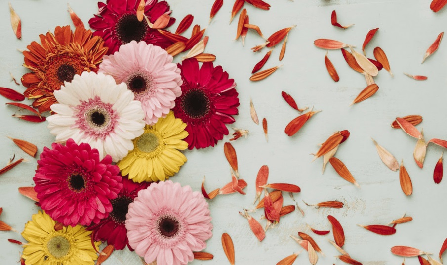 Dự đoán ngày 30/8/2022 của 12 con giáp: Dậu độc thân dễ gặp đối tác mới, Mão không thể cưỡng cầu