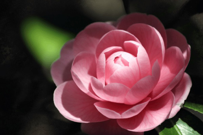 ngày 19 tháng 8 năm 2022, ngày 19/8/2022 tốt hay xấu, lịch âm 2022, lịch vạn niên ngày 19/8/2022, âm lịch hôm nay 19/8, Lịch vạn niên ngày 19 tháng 8, xem ngày tốt