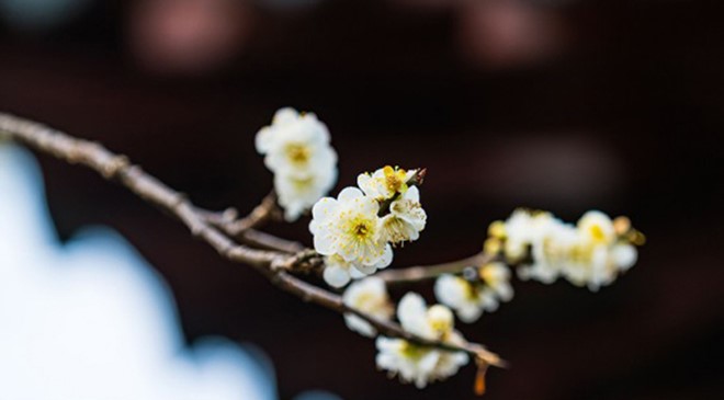 tử vi hôm nay, tử vi 14/8/2022, tử vi ngày 14/8 của 12 con giáp, tử vi ngày, tử vi đầu số, tử vi 14/8, tử vi 2022, lá số tử vi, tử vi ngày mai, 12 con giáp ngày 14/8