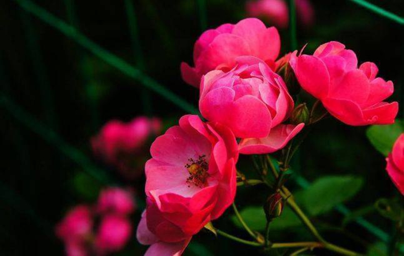 dự đoán 12 con giáp tuần từ 22/8, 12 con giáp tuần mới, 12 con giáp ngày mai, tử vi hôm nay, tử vi ngày, tử vi đầu số, tử vi 2022, lá số tử vi, tử vi ngày mai