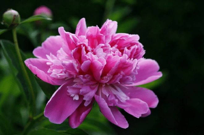 ngày 20 tháng 8 năm 2022, ngày 20/8/2022 tốt hay xấu, lịch âm 2022, lịch vạn niên ngày 20/8/2022, âm lịch hôm nay 18/8, Lịch vạn niên ngày 20 tháng 8, xem ngày tốt