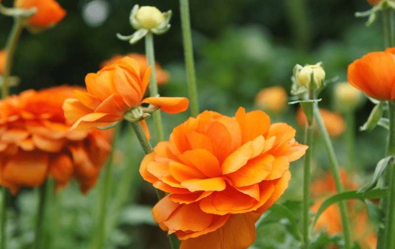 tử vi hôm nay, tử vi 26/8/2022, tử vi ngày 26/8 của 12 con giáp, tử vi ngày mai, 12 con giáp ngày 26/8, tử vi ngày, tử vi đầu số, tử vi 26/8, tử vi 2022, lá số tử vi