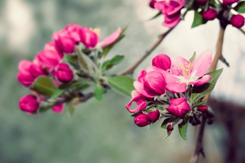 Tử vi hôm nay, Tử vi 6/9/2022, Tử vi ngày 6/9 của 12 con giáp, tử vi ngày mai, 12 con giáp ngày 6/9, tử vi ngày, tử vi đầu số, tử vi 6/9, tử vi 2022, lá số tử vi