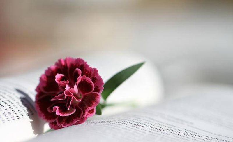 Dự đoán ngày 10/9/2022 của 12 con giáp: Mão thích hợp hàn gắn tình cảm, Thìn gặp quý nhân