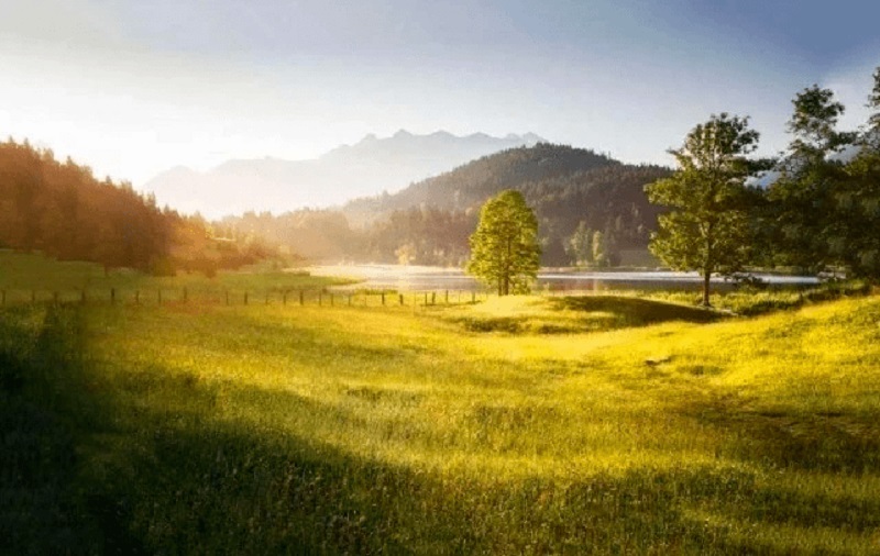 Tử vi hôm nay, Tử vi 11/9/2022, Tử vi ngày 11/9 của 12 con giáp, tử vi ngày mai, 12 con giáp ngày 11/9, tử vi ngày, tử vi đầu số, tử vi 11/9, tử vi 2022, lá số tử vi