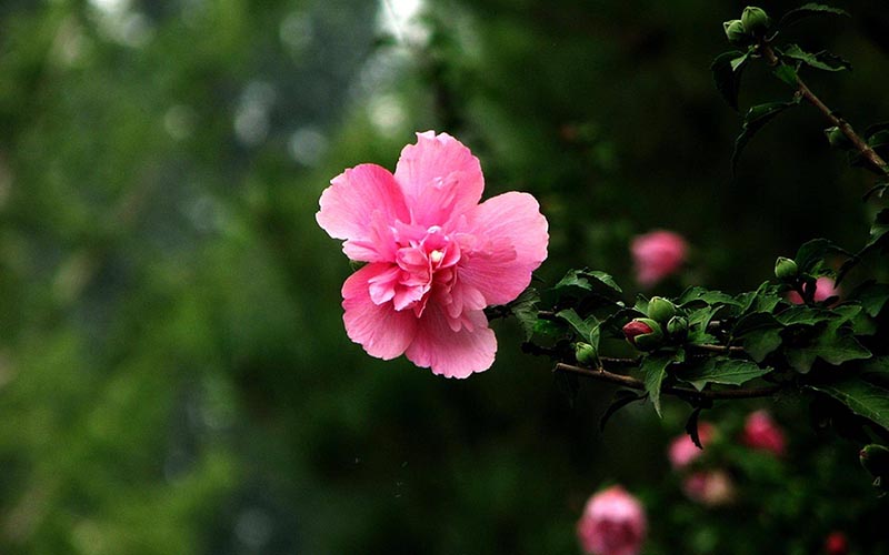 Tử vi hôm nay, Tử vi 17/9/2022, Tử vi ngày 17/9 của 12 con giáp, tử vi ngày mai, 12 con giáp ngày 17/9, tử vi ngày, tử vi đầu số, tử vi 17/9, tử vi 2022, lá số tử vi