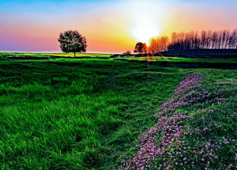 Tử vi hôm nay, Tử vi 2/9/2022, Tử vi ngày 2/9 của 12 con giáp, tử vi ngày mai, 12 con giáp ngày 2/9, tử vi ngày, tử vi đầu số, tử vi 2/9, tử vi 2022, lá số tử vi