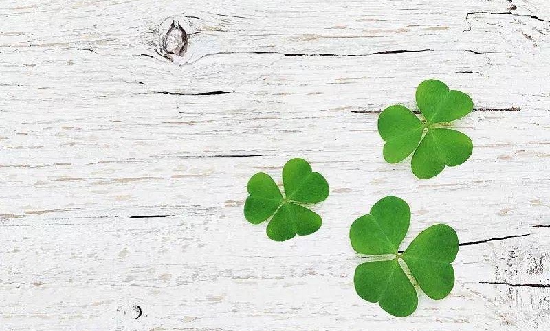 ngày tốt tháng 10/2022, ngày tốt tháng 10, ngày hoàng đạo tháng 10, ngay tot thang 10, Ngày hoàng đạo tháng 10, Ngày tốt tháng 10/2022, Ngày tốt tháng 9 năm Nhâm Dần