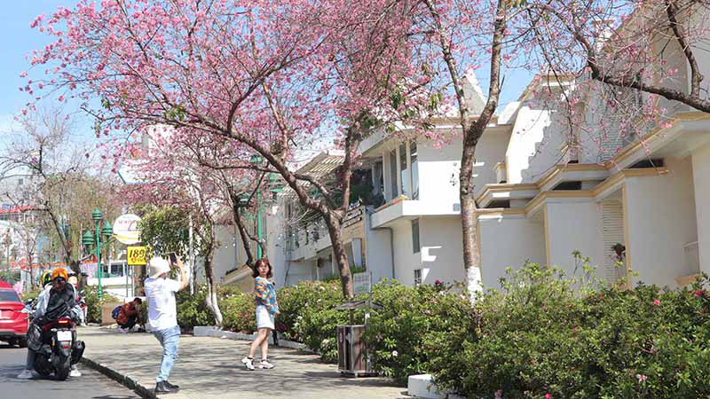 Bộ Nội vụ đồng ý phương án nghỉ 7 ngày Tết Nguyên đán 2023 