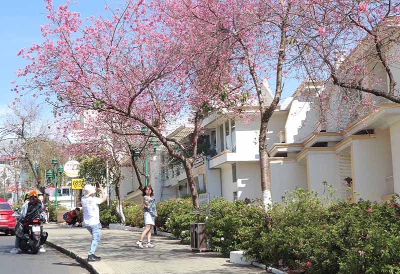 Nghỉ 7 ngày Tết Nguyên đán 2023, phương án nghỉ Tết, Tết Nguyên đán 2023, Bộ Nội vụ, Tết Nguyên đán, nghỉ tết nguyên đán bao nhiêu ngày, lịch nghỉ tết nguyên đán 2023