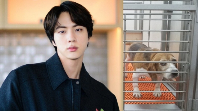 Bất ngờ trước việc làm của Jin BTS với số tiền trúng thưởng