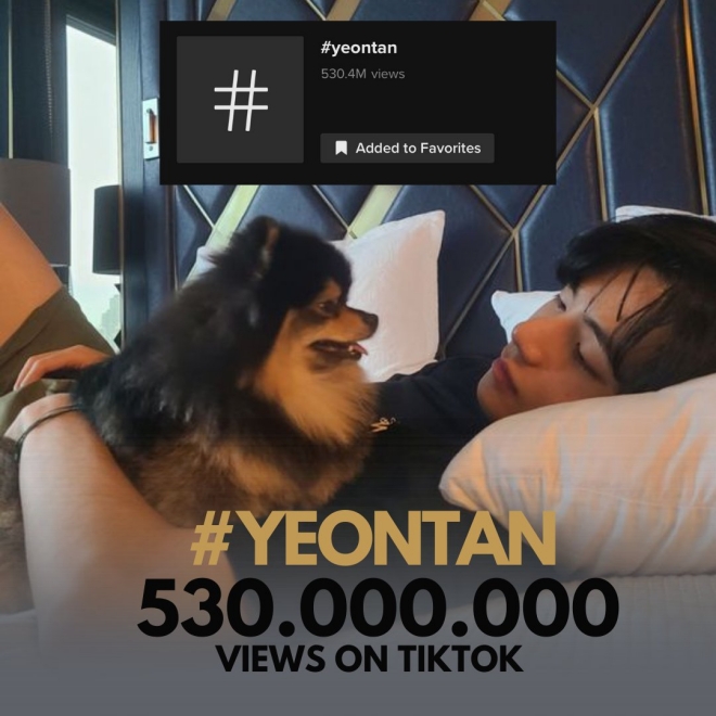 BTS, BTS tin tức, BTS thành viên, Kpop, ARMY, BTS V, V, V BTS, BTS youtube, BTS idol, Kpop idol, Yeontan, BTS thú cưng, BTS pet, BTS cún cưng, BTS vật nuôi, BTS ảnh