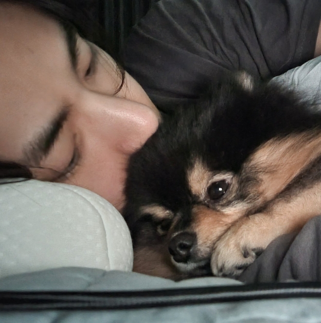 BTS, BTS tin tức, BTS thành viên, Kpop, ARMY, BTS V, V, V BTS, BTS youtube, BTS idol, Kpop idol, Yeontan, BTS thú cưng, BTS pet, BTS cún cưng, BTS vật nuôi, BTS ảnh