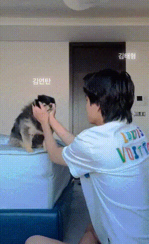 BTS, BTS tin tức, BTS thành viên, Kpop, ARMY, V, V BTS, BTS V, BTS instagram, Instagram BTS, BTS idol, BTS profile, Kpop idol, BTS youtube, BTS gif, BTS concert