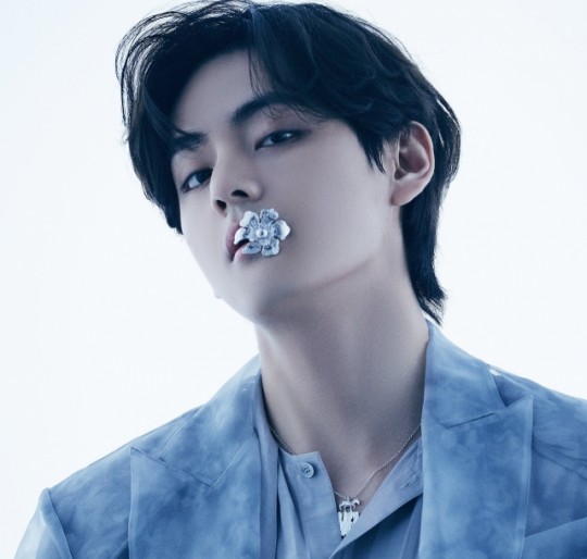 BTS, BTS tin tức, BTS thành viên, Kpop, ARMY, V, V BTS, BTS V, BTS idol, BTS visual, BTS nhan sắc, BTS profile, BTS ảnh, ảnh BTS, BTS youtube, BTS album, BTS instagram