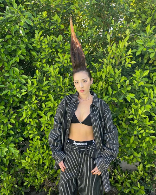 Blackpink, Blackpink tin tức, Blackpink thành viên, Kpop, IVE, Jennie, Lisa, xu hướng, thời trang, Blackpink Shut Down, Blackpink album, Born Pink, Blackpink fashion