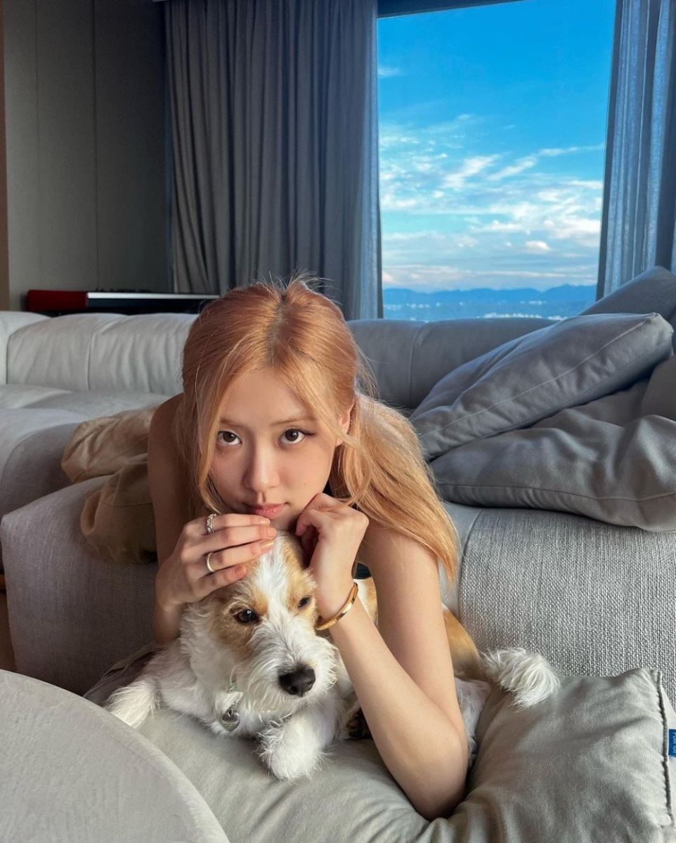 BTS, Blackpink, BTS tin tức, BTS thành viên, Kpop, Jungkook, Jungkook BTS, BTS Jungkook, Blackpink tin tức, Blackpink thành viên, Rosé, penthouse, bất động sản