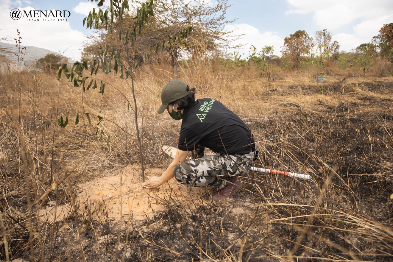 Hà Anh Tuấn, Menard Việt Nam